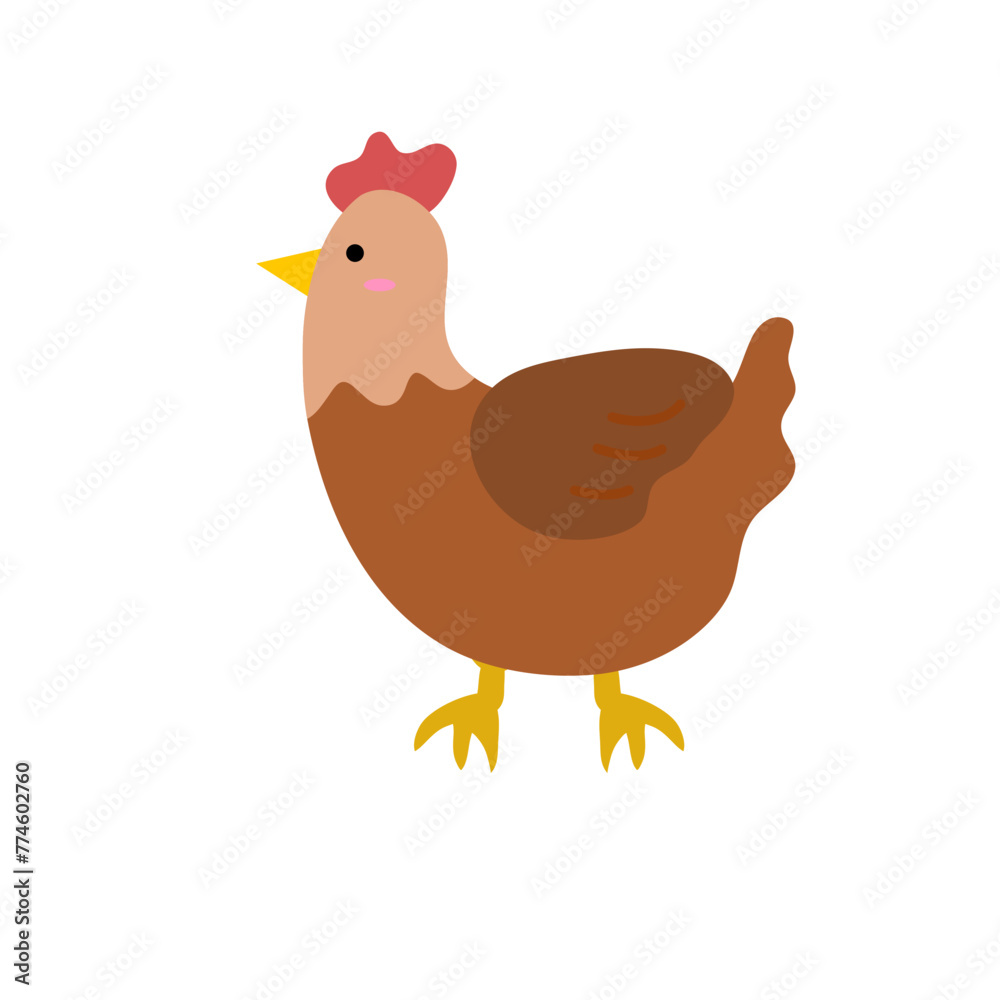 chicken chicken