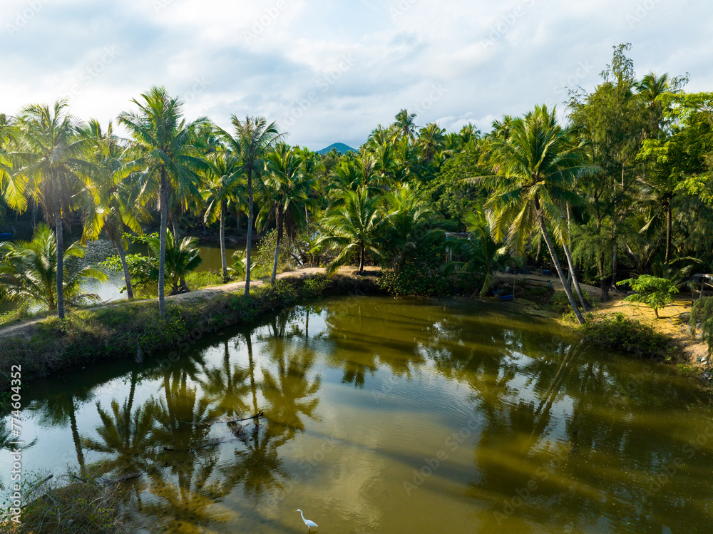 Coconut forest scenery on Coconut Island, Sanya, Hainan, China