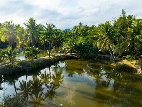 Fototapeta Naklejka Na Ścianę i Meble -  Coconut forest scenery on Coconut Island, Sanya, Hainan, China