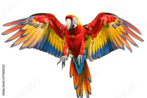 A vibrant parrot with its wings spread wide, isolated on a white background © Veniamin Kraskov