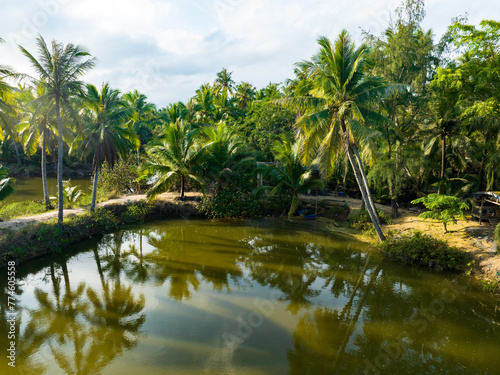 Coconut forest scenery on Coconut Island, Sanya, Hainan, China