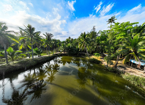 Coconut forest scenery on Coconut Island  Sanya  Hainan  China