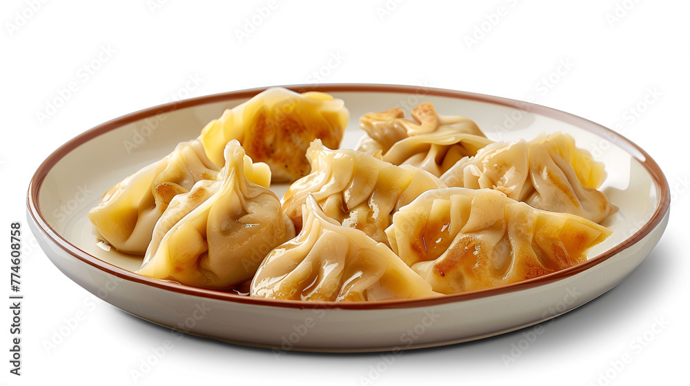 A Plate of Dumplings Pot Stickers Fried Dumplings Steamed Dumplings A Plate of Dumplings Pot Stickers Fried Dumplings Steamed Dumplings