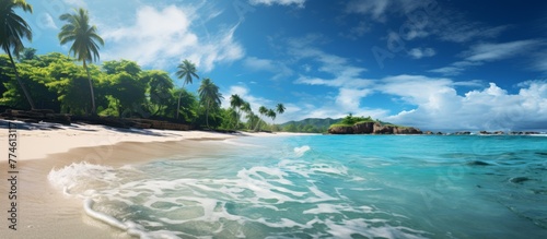 The scenic beauty of a tropical beach with tall palm trees swaying in the breeze, overlooking the mesmerizing blue ocean