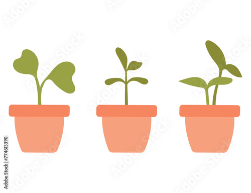Set of pots with sprouts of different shapes and seedlings. Vector illustration of growing plants. Gardening concept. Plants growing in pots.