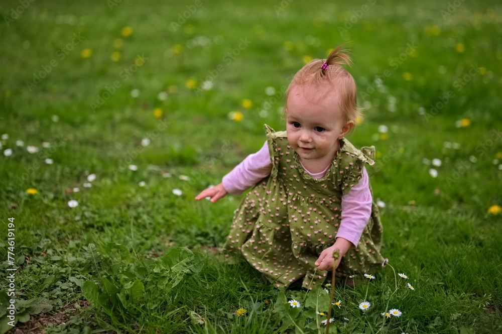 A little girl is crouching in the grass and picking flowers