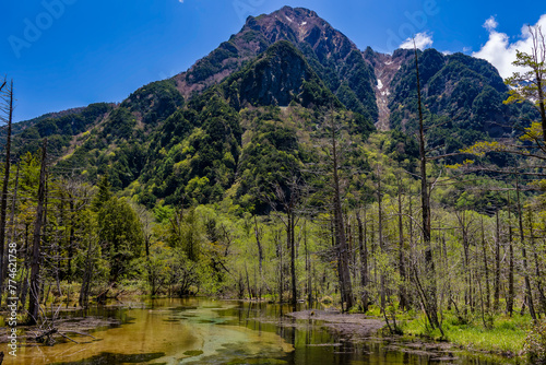 Brown pond surrounded by lush forest in front of steep, high mountain peaks (Kamikochi, Japan)