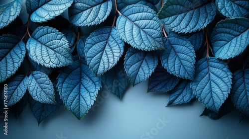   Close-up of leaves against a blue backdrop Text below, right corner ..Or, if you prefer a more descriptive version:.. photo