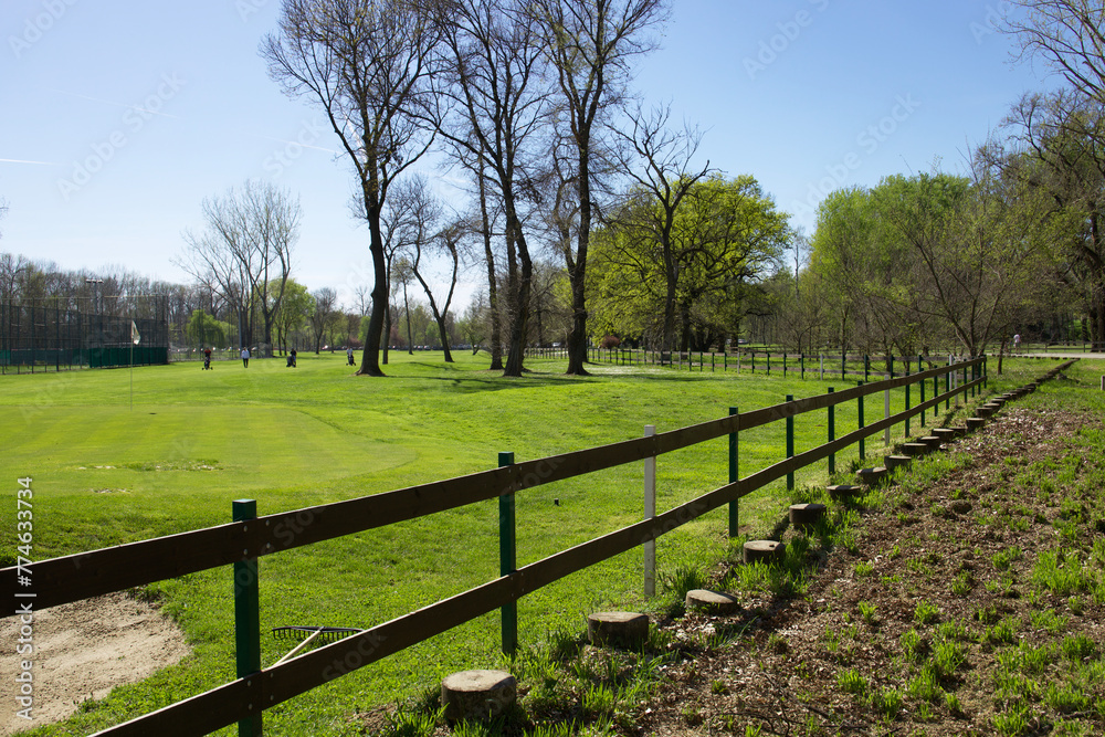 golf course surrounded by a wooden fence. The bright morning sun illuminates the young grass. golf course surrounded by a wooden fence. The bright morning sun illuminates the young grass.