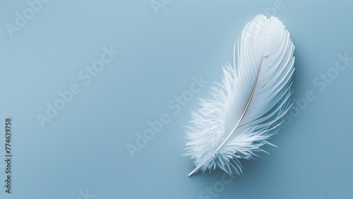 White feather on blue background. Flat lay, top view, copy space