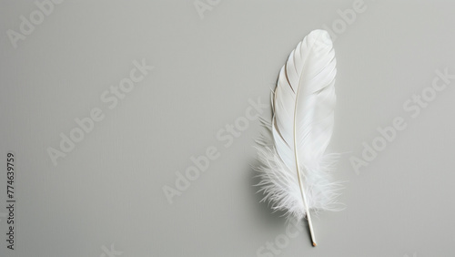 White bird feather on grey background. Flat lay, top view.