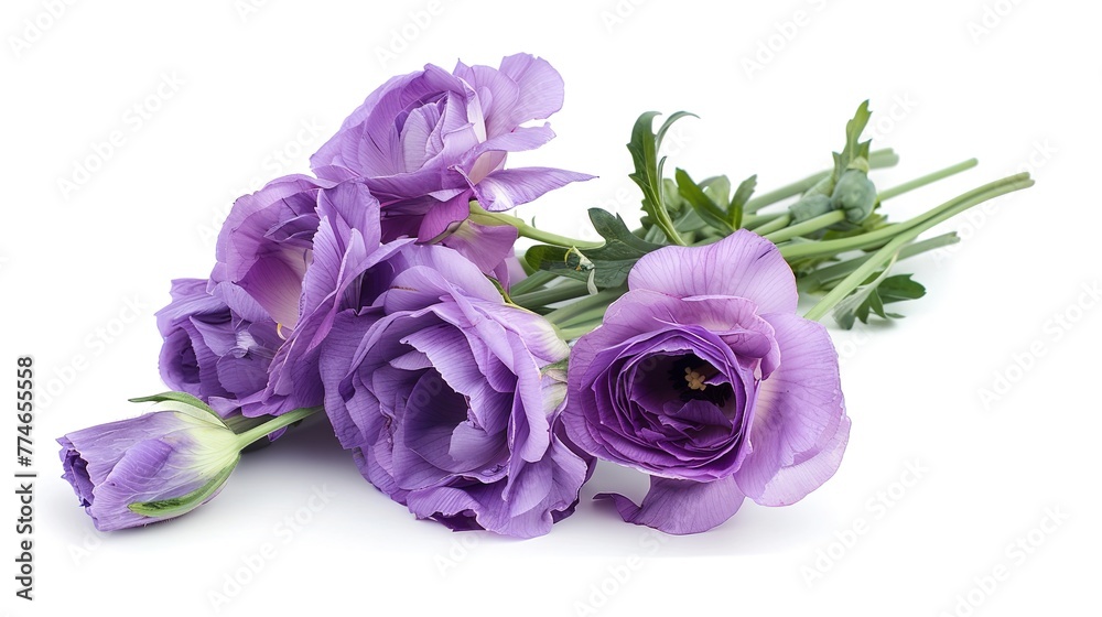 Bunch of violet eustoma flowers isolated on white ,Generative ai, Bunch of violet eustoma flowers isolated on white ,Generative ai,