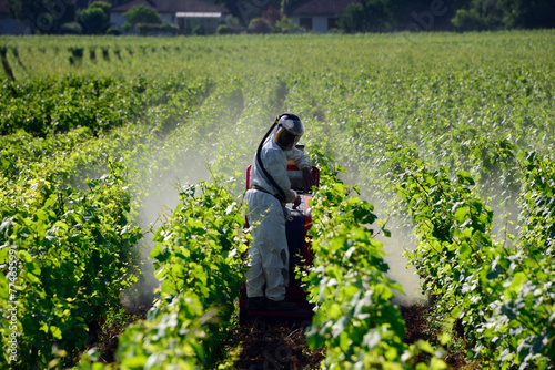 Beaune, Cote de Beaune, Cote d'Or, Burgundy, France, Europe - preventive spray for pests, vineyards on the outskirts of the city