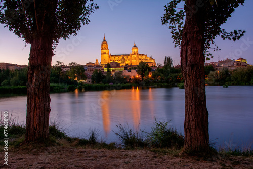 Salamanca cathedral night. Castilla y Leon, Spain.