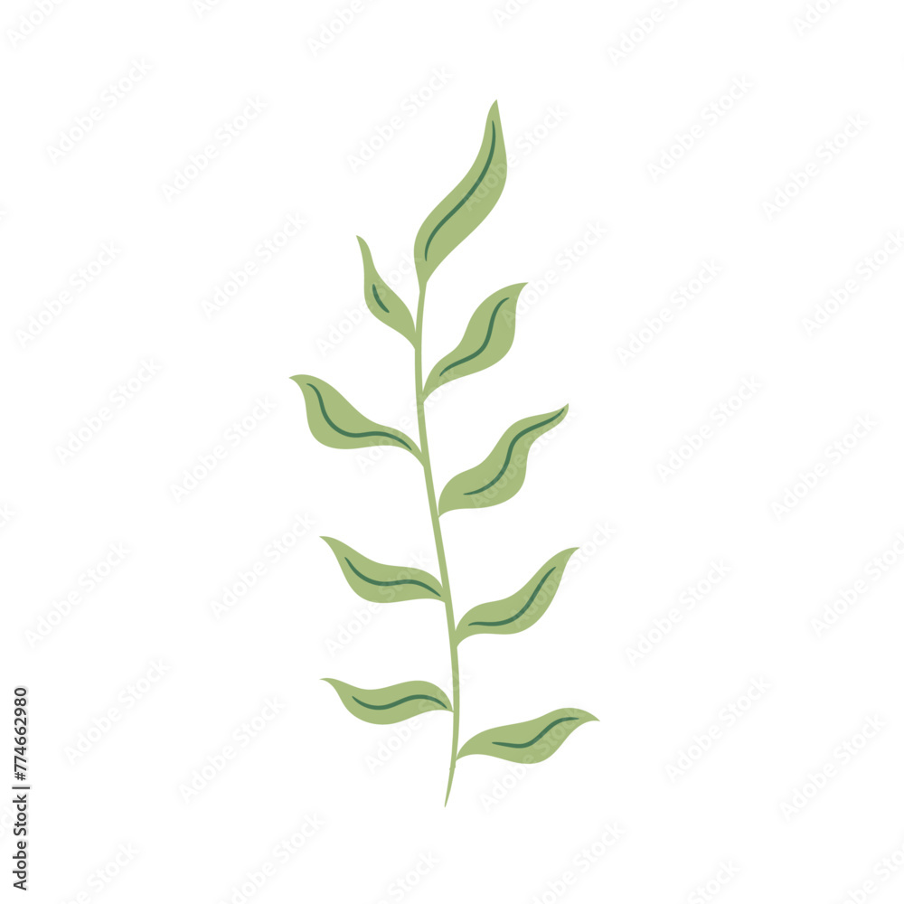Fototapeta premium Leaf branch graphic design template vector on white