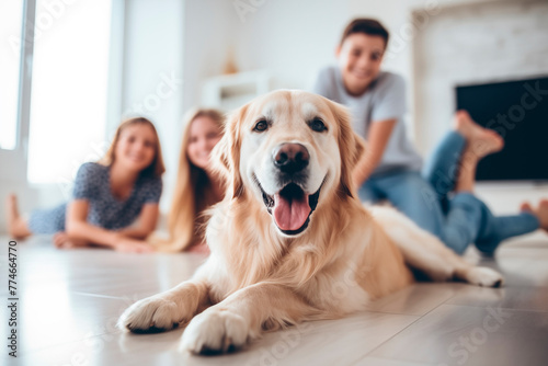 Portrait of cute dog lying on the floor on background blurred of family of four having rest at home