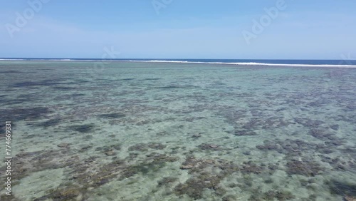 Aerial tour over the crystal clear waters of the coral coast in Fiji. Beneath the pristine waters, vibrant coral reefs thrive, teeming with life in all shapes and sizes. photo