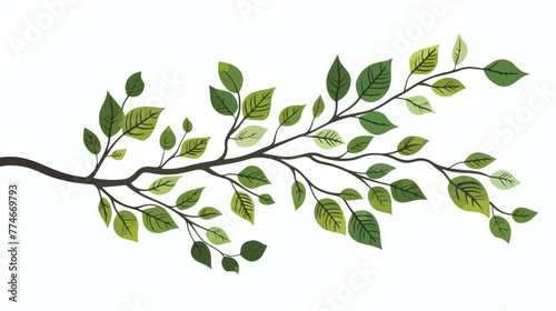 Branch with leafs hand draw style icon vector illustr