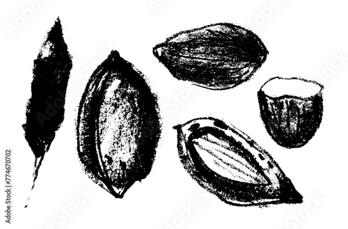 Vector hand-drawn illustration almonds. Black charcoal drawing of almond nut for marzipan paste label design or almond butter packaging. Botanical sketch for ketogenic diet banner.