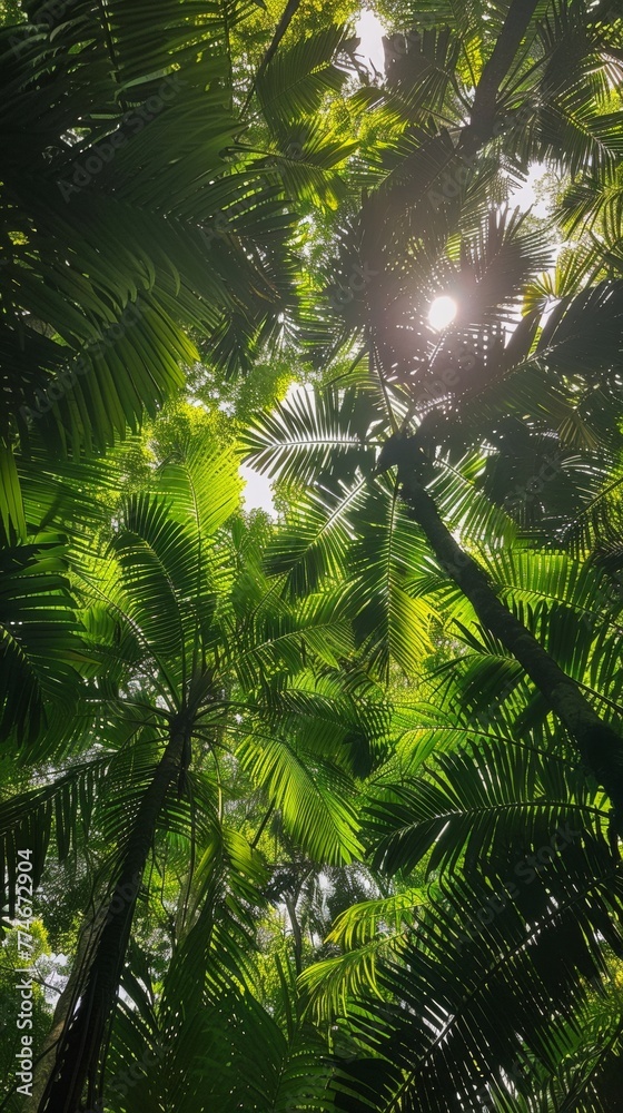 A lush green forest with tall trees and leaves