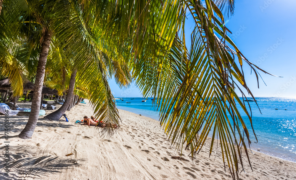 Obraz premium Plage sous les cocotiers, le Morne, île Maurice