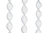 DNAの二重螺旋のイメージ