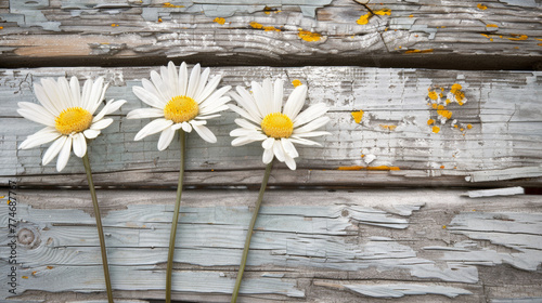 Three white flowers are placed on a wooden surface. The flowers are arranged in a row, with one in the middle and two on the left side. The wooden surface has a worn and weathered appearance