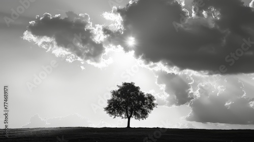 paysage minimaliste avec un arbre, vecteur, arrière-plan. Beautiful simple AI generated image in 4K, unique.