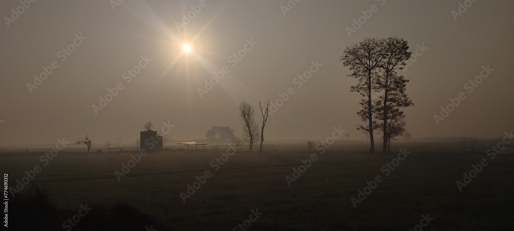 Beautiful sunshine panoramic natural spring winter background image with young lush green wheat against a foggy sky.