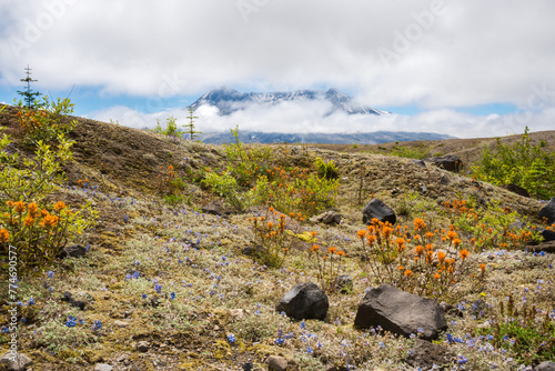 Boundary Trail on a Hazy Day at Mount St. Helens, Stratovolcano in Skamania County, Washington State photo