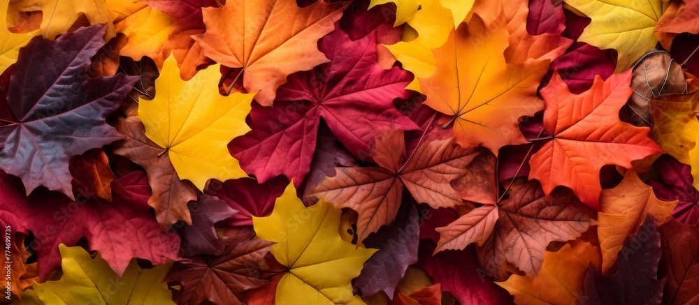 Obraz premium A cluster of vibrant green leaves lying on the earthy ground, creating a natural and textured landscape