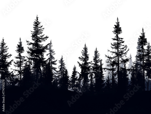 silhouette of pine forest on white, 
Redwood tree-line silhouette photo