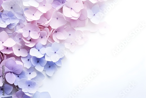 White copy space background with blue and pink Hydrangea flowers  wedding invitation wallpaper banner floral 