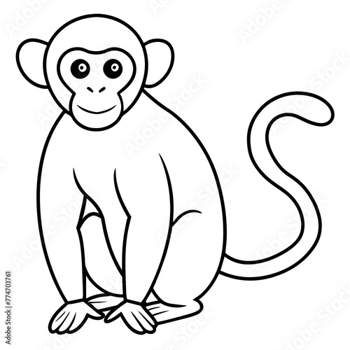 Monkey art with vector silhouette 