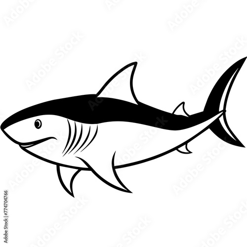 illustration of a shark