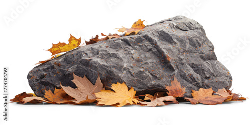 Isolated Rock Stone with Autumn Leaves