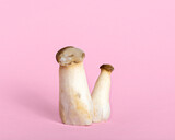 King oyster mushrooms on pink background