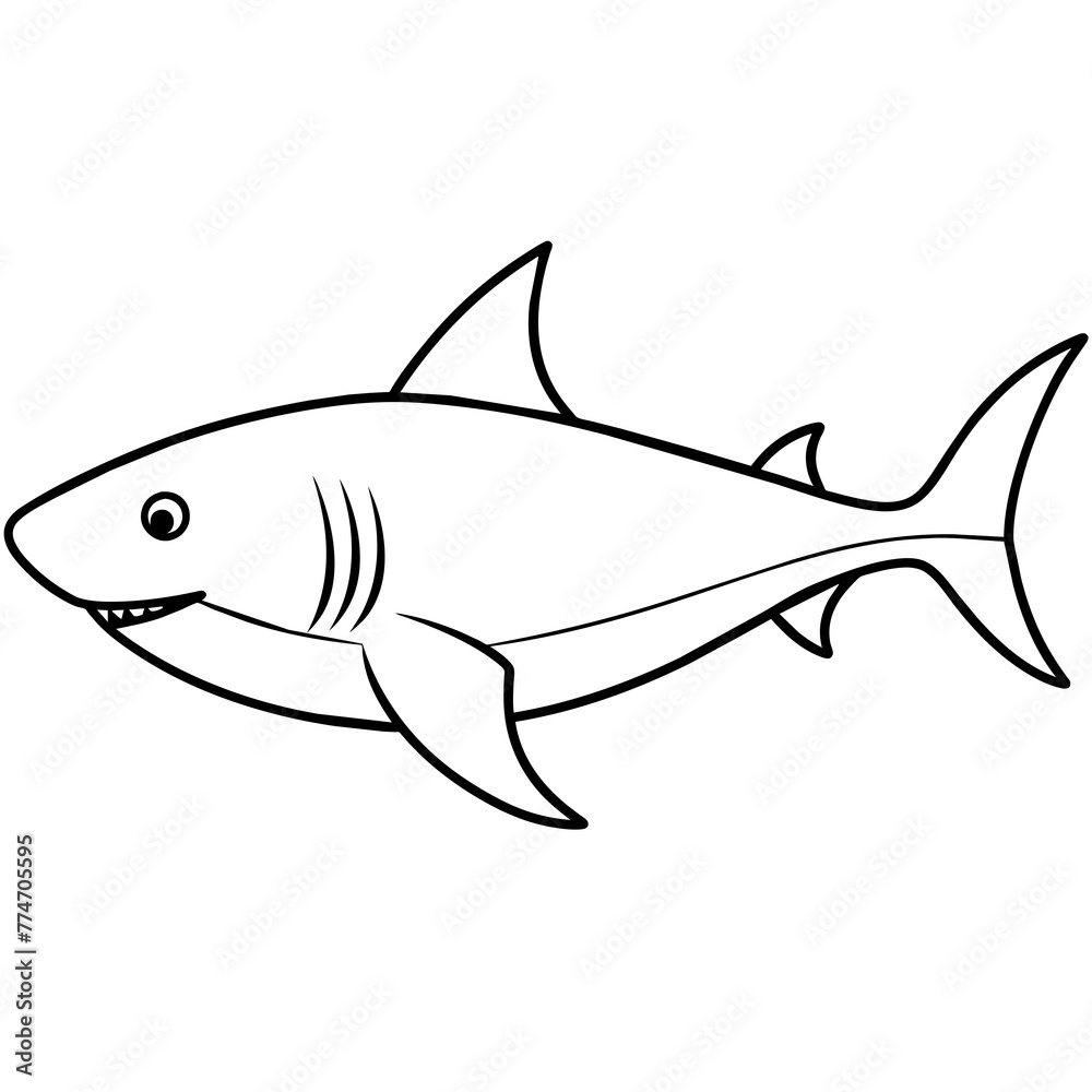 fish illustration fish illustration