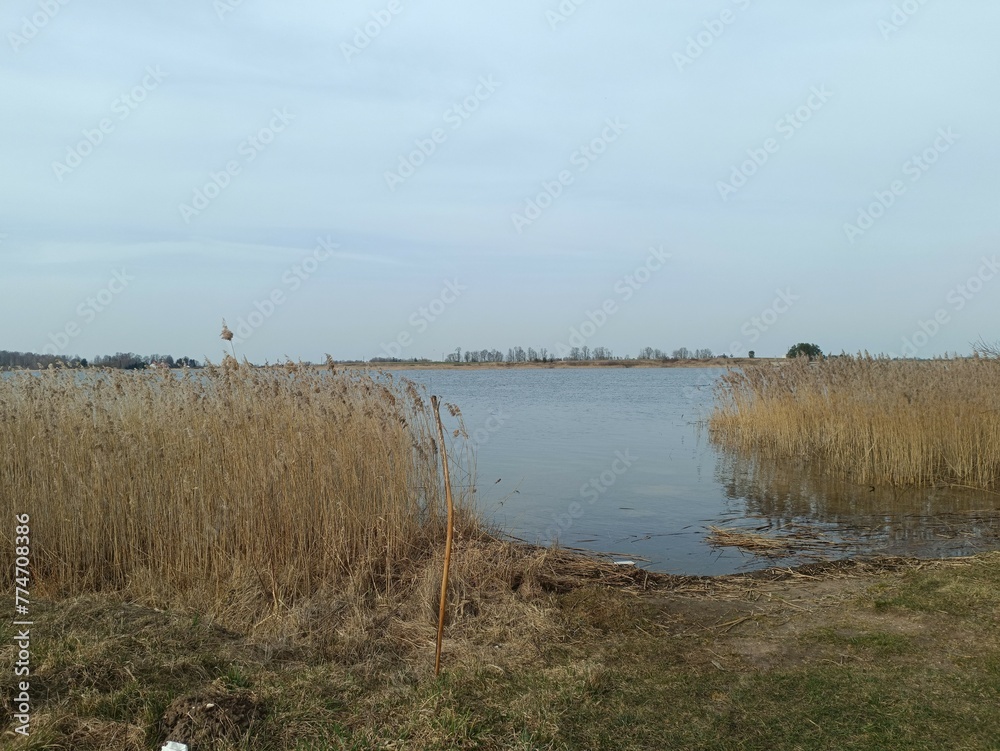 Gudeliai lake and lakeshore during sunny day. Lake with small waves. Lake shore with grass and reeds growing on it. Sunny day with white and gray clouds in blue sky. Nature. Gudeliu ezeras.