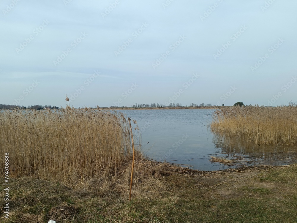 Gudeliai lake and lakeshore during sunny day. Lake with small waves. Lake shore with grass and reeds growing on it. Sunny day with white and gray clouds in blue sky. Nature. Gudeliu ezeras. Gudeliai lake and lakeshore during sunny day. Lake with small waves. Lake shore with grass and reeds growing on it. Sunny day with white and gray clouds in blue sky. Nature. Gudeliu ezeras.