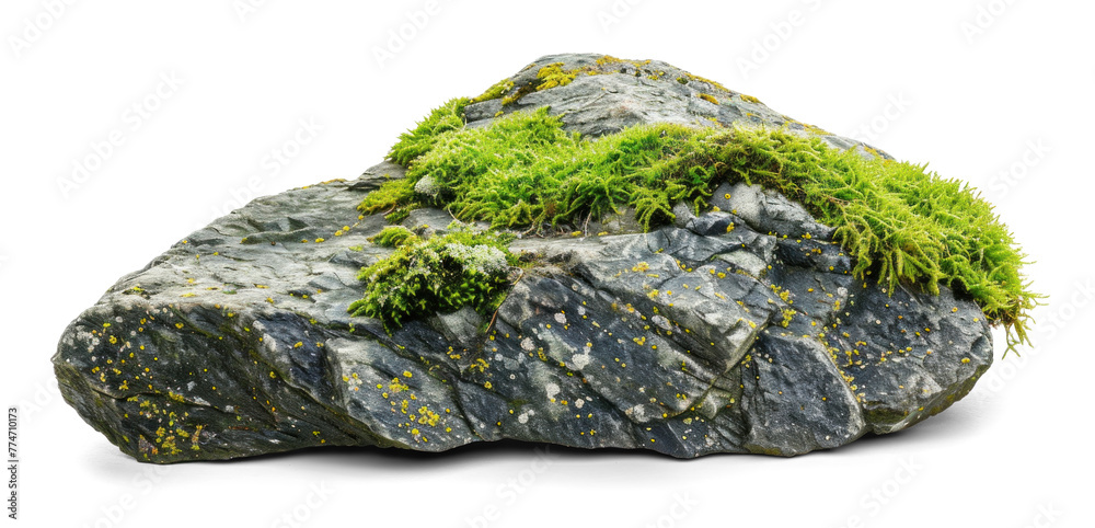 Moss-Covered Rock on Transparent Background Moss-Covered Rock on Transparent Background