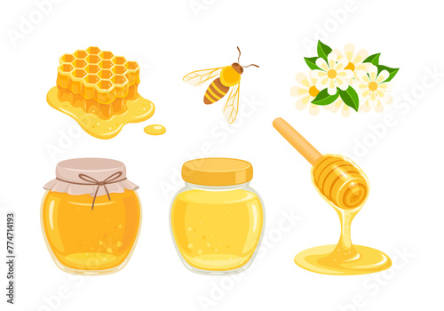 Honey jar, Bee, flowers, honeycomb and dripping honey from wooden dipper. Set of vector cartoon flat illustrations.