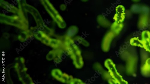 A fluorescent microscopy image showing the glowing green conidia against a black background emphasizing their microscopic but powerful . AI generation. photo