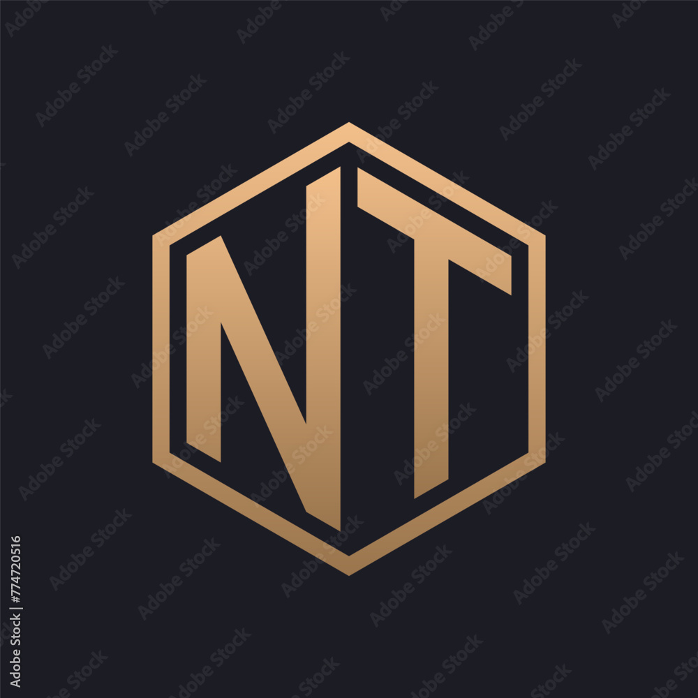 Elegant Hexagon Letter NT Logo Design. Initial Luxurious NT Logo Template Elegant Hexagon Letter NT Logo Design. Initial Luxurious NT Logo Template