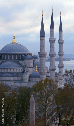 Photography Close up of Blue Mosque and Bosphorus, Istanbul, Turkey