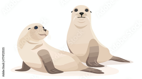 Cartoon mother and baby seal cartoon Flat vector 