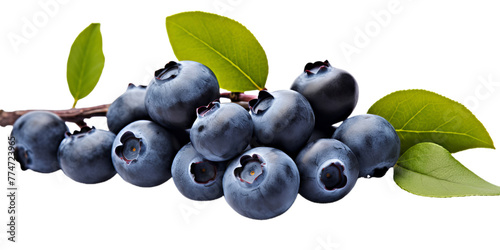  Blueberries with leaf on branch. PNG image