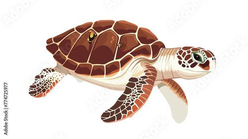 Cartoon sea turtle on white background Flat vector