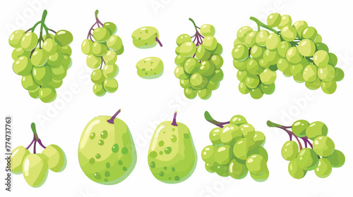 Cut ripe green grapes isolated on white set Flat vector