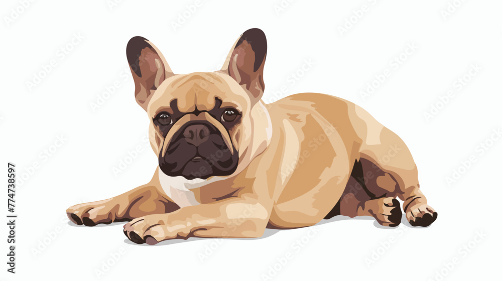 Cute french bulldog dog portrait Flat vector isolated